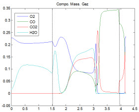 Composition du gaz dans le lit